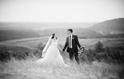 Wedding walk on nature stock photo Wedding walk on nature stock photo