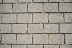 Weeds Growing Through Cracks in Paved Slabs royalty free stock photo Weeds Growing Through Cracks in Paved Slabs royalty free stock photo