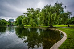 Weeping willow trees and the lake at the Public Garden in Boston stock photo Weeping willow trees and the lake at the Public Garden in Boston stock photo