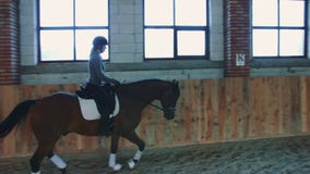 Weergeven van vrouw opleiding en het berijden paard op zandige arena onder dak stock video Weergeven van vrouw opleiding en het berijden paard op zandige arena onder dak stock video