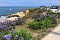 Weg in La Jolla, San Diego, Californië stock afbeeldingen Weg in La Jolla, San Diego, Californië stock afbeeldingen