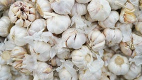 Wei?e Knoblauchstapelbeschaffenheit Frischer Knoblauch auf Markttabellen-Nahaufnahmefoto Lebensmittel-Gew?rzbild des Vitamins ges lizenzfreie stockbilder Wei?e Knoblauchstapelbeschaffenheit Frischer Knoblauch auf Markttabellen-Nahaufnahmefoto Lebensmittel-Gew?rzbild des Vitamins ges lizenzfreie stockbilder