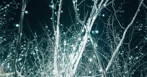 Weihnachten und weißes und silbernes Scheinlicht des Valentinstagbaums, langsame Bewegungskamera, Konzept von stock footage Weihnachten und weißes und silbernes Scheinlicht des Valentinstagbaums, langsame Bewegungskamera, Konzept von stock footage