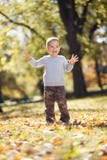 Weinig jongen bij het de herfstpark royalty-vrije stock fotografie Weinig jongen bij het de herfstpark royalty-vrije stock fotografie