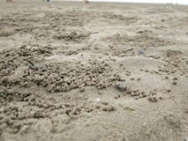 Weinig krab op het strand royalty-vrije stock afbeeldingen Weinig krab op het strand royalty-vrije stock afbeeldingen
