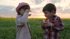 Weinig Leuk Jong geitje, Jongen en het meisje drinken water, doven de kinderen dorst, van het de greepglas van jong geitje` s han stock videobeelden Weinig Leuk Jong geitje, Jongen en het meisje drinken water, doven de kinderen dorst, van het de greepglas van jong geitje` s han stock videobeelden
