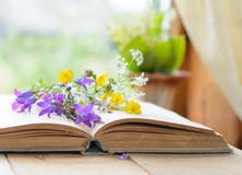 Weinlesebuch mit Blumenstrauß der Wiese blüht, nostalgischer Weinlesehintergrund lizenzfreies stockfoto Weinlesebuch mit Blumenstrauß der Wiese blüht, nostalgischer Weinlesehintergrund lizenzfreies stockfoto