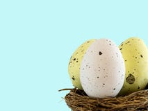 Weiße Eier im Vogelnest, Ostern-Feiertagsdekorationen, Ostern-Konzepthintergrund Eijagd lizenzfreie stockfotografie Weiße Eier im Vogelnest, Ostern-Feiertagsdekorationen, Ostern-Konzepthintergrund Eijagd lizenzfreie stockfotografie