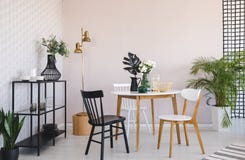 Weißer und schwarzer Stuhl am Holztisch mit Anlage im Esszimmer Innen mit Goldlampe Reales Foto stock abbildung Weißer und schwarzer Stuhl am Holztisch mit Anlage im Esszimmer Innen mit Goldlampe Reales Foto stock abbildung