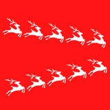 Weißes Ren lizenzfreie abbildung Weißes Ren lizenzfreie abbildung