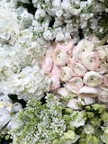 Weißes, rosa und grünes Blumenbeet Blühens von Ranunculus, Hortensie, Flieder Draufsicht, Abschluss oben lizenzfreies stockbild Weißes, rosa und grünes Blumenbeet Blühens von Ranunculus, Hortensie, Flieder Draufsicht, Abschluss oben lizenzfreies stockbild