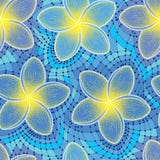 Wektorowy bezszwowy wzór z kropkowanym kwiatem Plumeria lub Frangipani w koronce na błękitnym tle żółtej i dekoracyjnej Obraz Royalty Free Wektorowy bezszwowy wzór z kropkowanym kwiatem Plumeria lub Frangipani w koronce na błękitnym tle żółtej i dekoracyjnej Obraz Royalty Free
