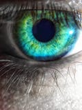 Welk oog in een zo Zwart-witte wereld ziet stock afbeelding Welk oog in een zo Zwart-witte wereld ziet stock afbeelding