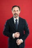 Well groomed. Hair grooming tips. Business man well groomed guy red background. Business people hairstyle. Stylish and stock photo Well groomed. Hair grooming tips. Business man well groomed guy red background. Business people hairstyle. Stylish and stock photo