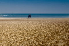 Welvings zand-Silhouetten stock fotografie Welvings zand-Silhouetten stock fotografie