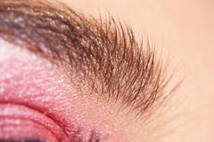 Wenkbrauwenmacro Sluit omhoog van oog met mooie bruin met roze de ogenmake-up van schaduwensmokey De moderne manier maakt omhoog royalty-vrije stock afbeelding Wenkbrauwenmacro Sluit omhoog van oog met mooie bruin met roze de ogenmake-up van schaduwensmokey De moderne manier maakt omhoog royalty-vrije stock afbeelding