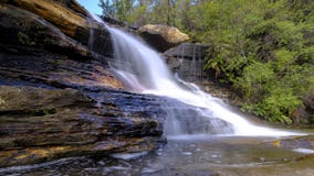 Wentworth Falls in den blauen Bergen, NSW, Australien stockfoto Wentworth Falls in den blauen Bergen, NSW, Australien stockfoto