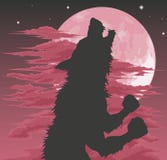 werewolf силуэта луны завывать Стоковое фото RF werewolf силуэта луны завывать Стоковое фото RF