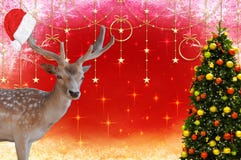 Wesoło boże narodzenia rogacz z Santa Claus czapeczką na jego poroże i dekorującej choince na piękny bożych narodzeń b zdjęcie royalty free Wesoło boże narodzenia rogacz z Santa Claus czapeczką na jego poroże i dekorującej choince na piękny bożych narodzeń b zdjęcie royalty free