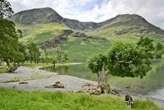 Westliches Ufer von Buttermere lizenzfreie stockfotografie Westliches Ufer von Buttermere lizenzfreie stockfotografie