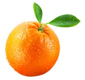 Wet orange fruit with leaves isolated on white