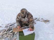 Wetenschapper die vissen bestuderen stock afbeelding Wetenschapper die vissen bestuderen stock afbeelding