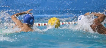 Wettbewerbs- und Duellwasserballspielermatch Wettbewerbs- und Duellwasserballspielermatch