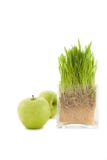 Wheat And Apple Stock Photos