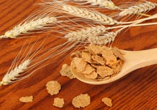 Wheat Flakes Royalty Free Stock Photography
