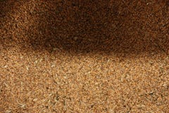 Wheat grain texture, top view stock images Wheat grain texture, top view stock images