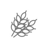 Wheat grains line icon. vector illustration Wheat grains line icon. vector illustration