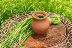 Wheatgrass juice in a clay pot on a brown wooden table Royalty Free Stock Photo Wheatgrass juice in a clay pot on a brown wooden table Royalty Free Stock Photo
