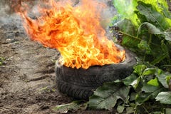 Fire stock photos Fire stock photos