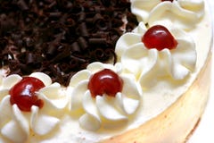 Whipped Cream Cake Stock Image