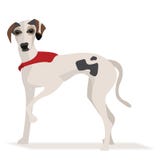 Whippetvalp royaltyfri illustrationer Whippetvalp royaltyfri illustrationer