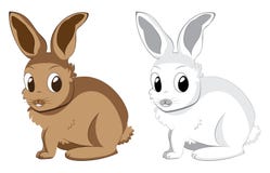 White And Brown Rabbits Royalty Free Stock Photography