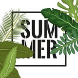 White background with side border decorative green leaves and rectangular frame with summer text Royalty Free Stock Photos White background with side border decorative green leaves and rectangular frame with summer text Royalty Free Stock Photos