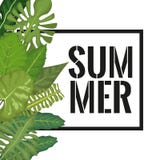 White background with side left border decorative green leaves and rectangular frame with summer text Royalty Free Stock Image White background with side left border decorative green leaves and rectangular frame with summer text Royalty Free Stock Image
