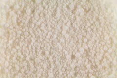 White balls of organic origin close up in the whole photo stock photos White balls of organic origin close up in the whole photo stock photos