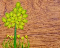 White cauliflower with green leaves on white background. Royalty Free Stock Image White cauliflower with green leaves on white background. Royalty Free Stock Image