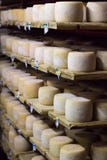White cheese heads growing ripe on shelves of dairy food production house stock photo White cheese heads growing ripe on shelves of dairy food production house stock photo