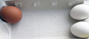 White chicken eggs opposite red in a cardboard box with empty space royalty free stock photography White chicken eggs opposite red in a cardboard box with empty space royalty free stock photography