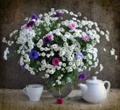 White Chrysanthemums And Coloured Corn-flowers Stock Photography White Chrysanthemums And Coloured Corn-flowers Stock Photography