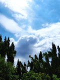 white clouds and clear sky with the trees
