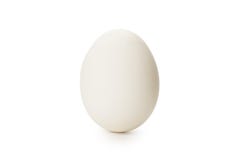 White egg isolated on pure white