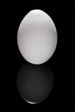 White egg with wrinkles in vertical format Royalty Free Stock Photo White egg with wrinkles in vertical format Royalty Free Stock Photo