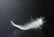 White feather
