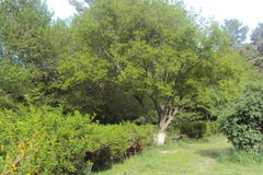 Holidays Nice nature for yoy stock photo Holidays Nice nature for yoy stock photo