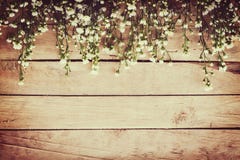 White flower on grunge wood board background with space. stock images White flower on grunge wood board background with space. stock images