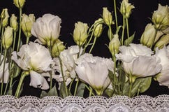 White flowers of Lisianthus with white openwork embroidered border on black plywood stock photos White flowers of Lisianthus with white openwork embroidered border on black plywood stock photos